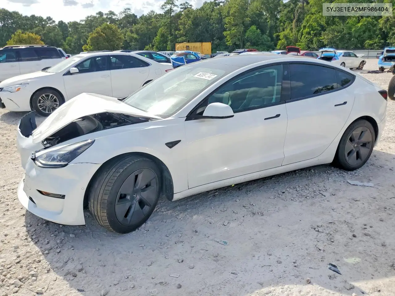 Tesla Model 3 2021