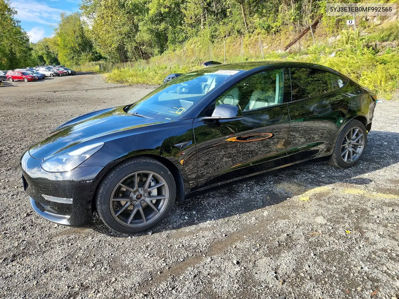 Tesla Model 3 2021