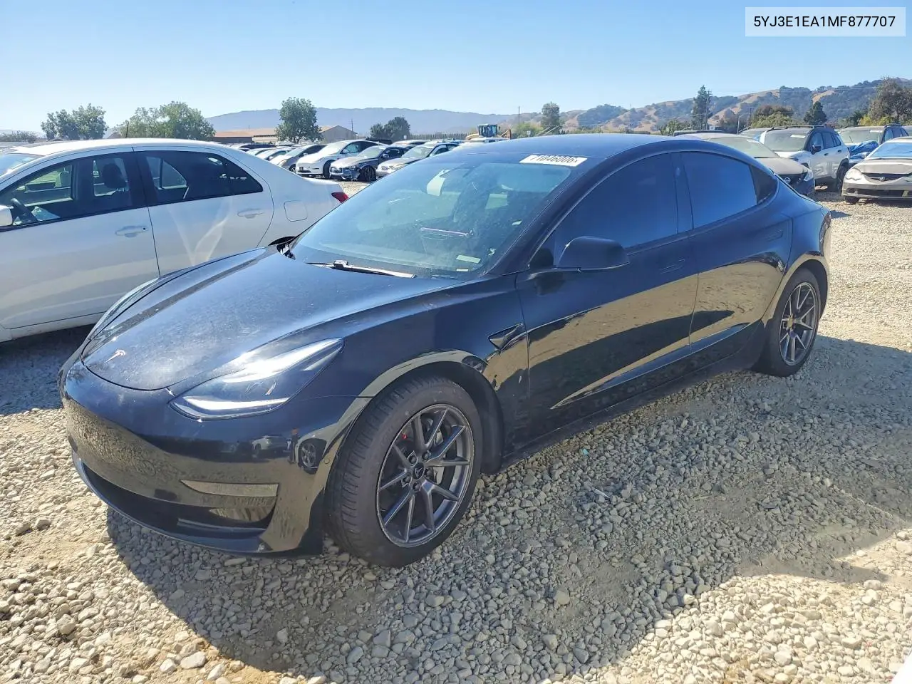 Tesla Model 3 2021