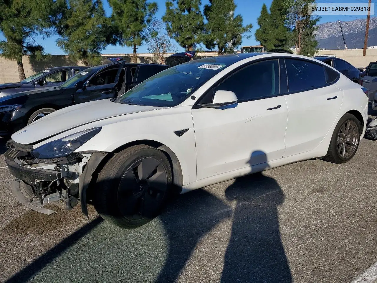 Tesla Model 3 2021