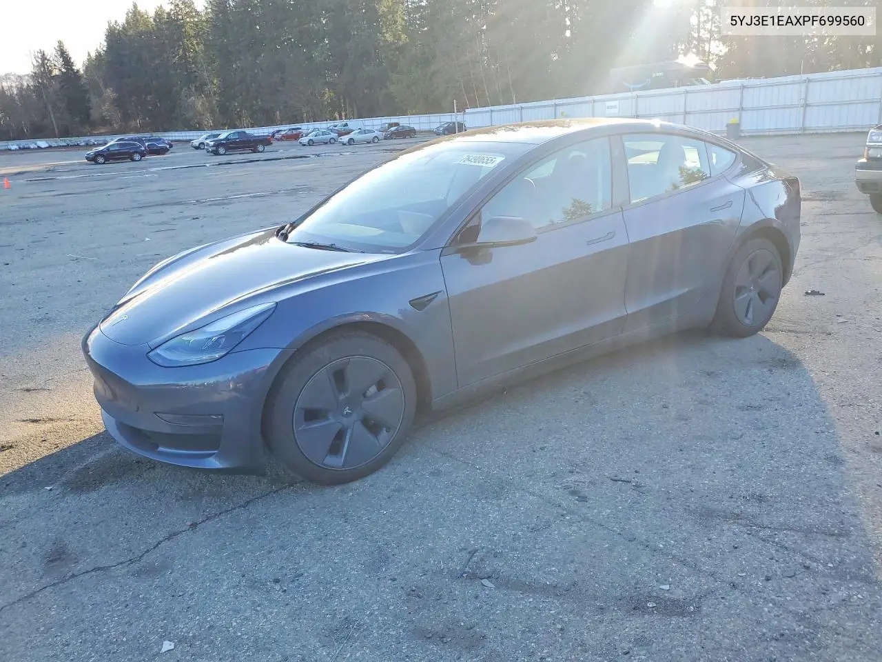 Tesla Model 3 2023