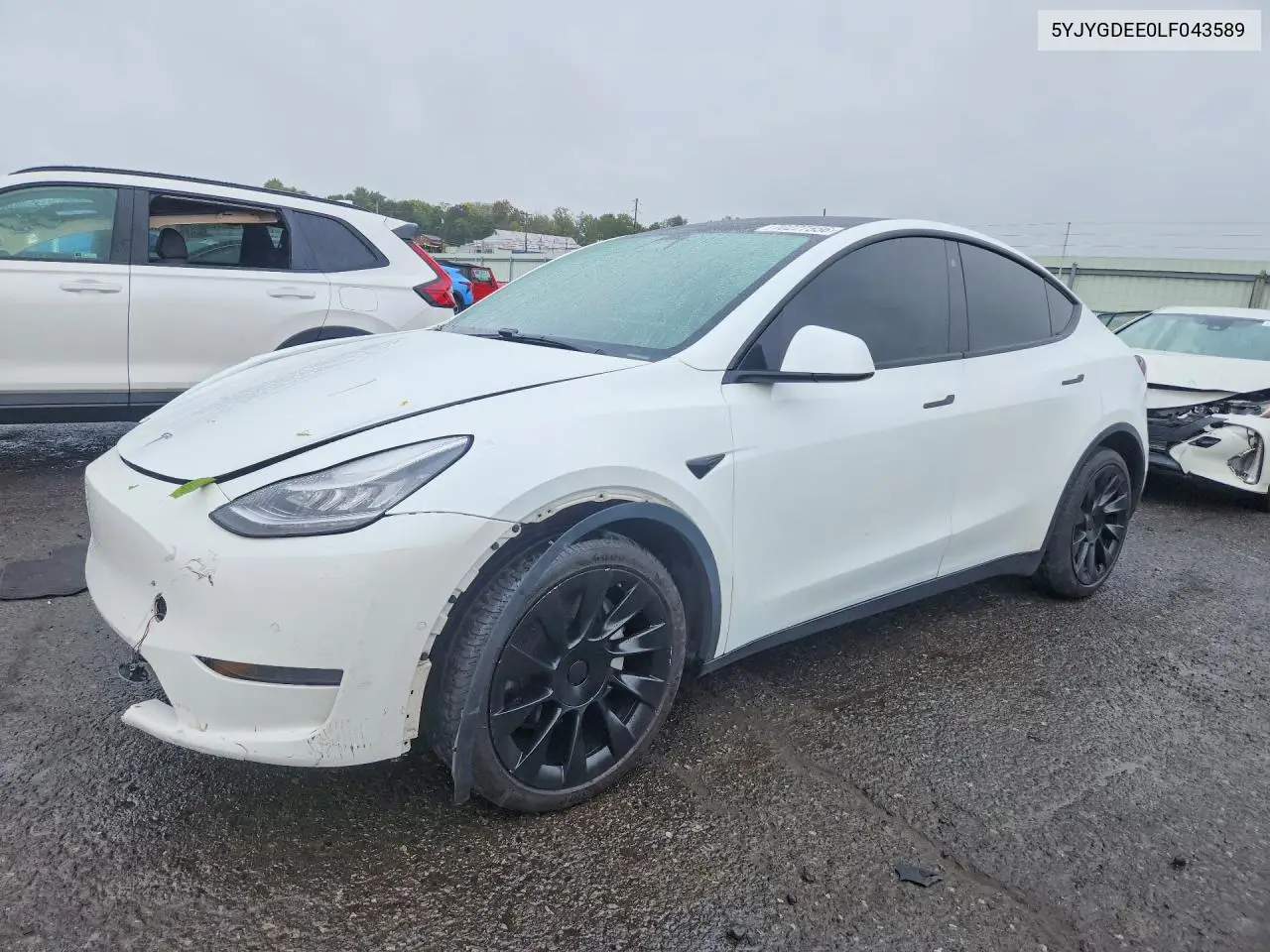 Tesla Model Y 2020