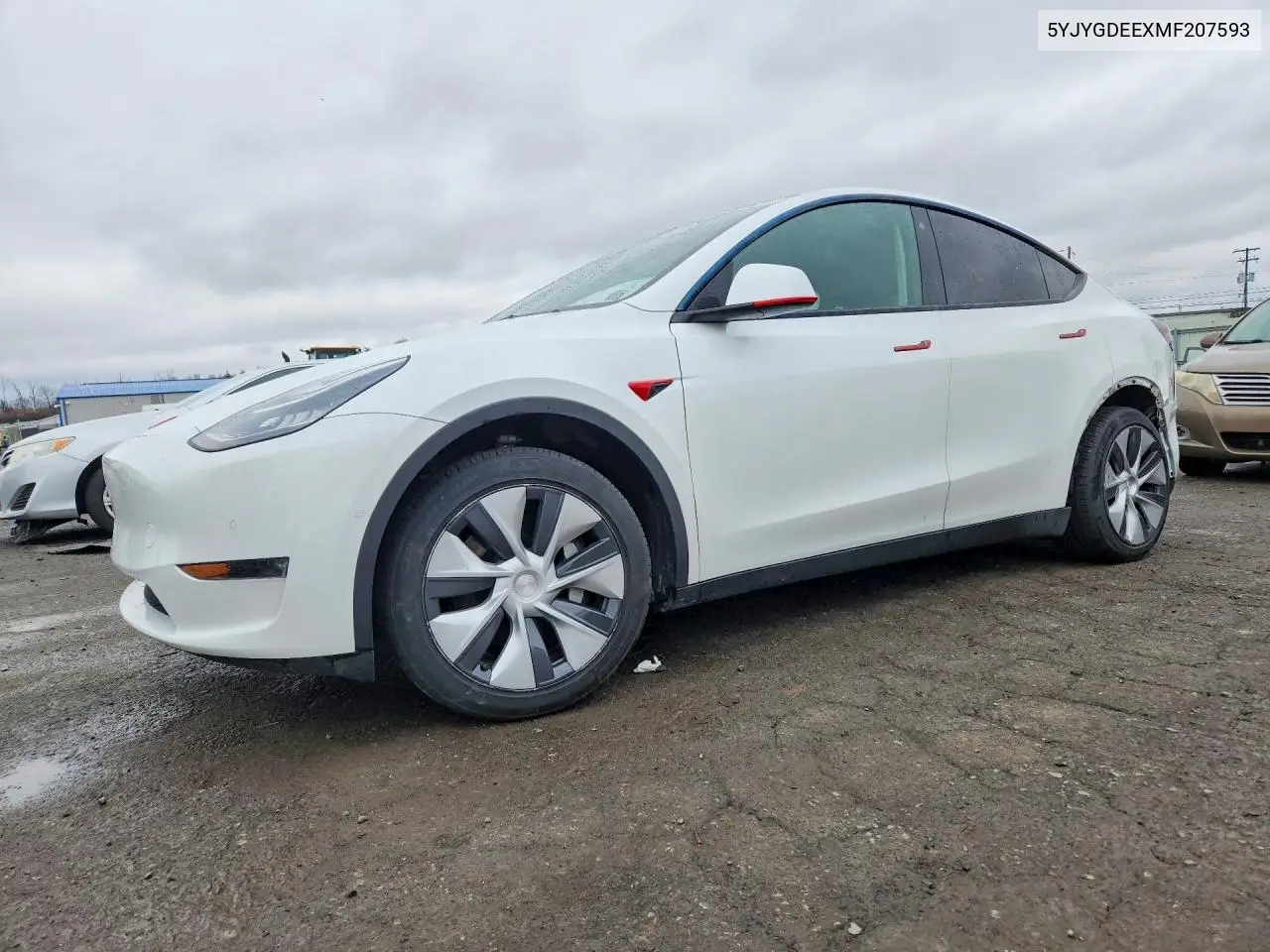 Tesla Model Y 2021