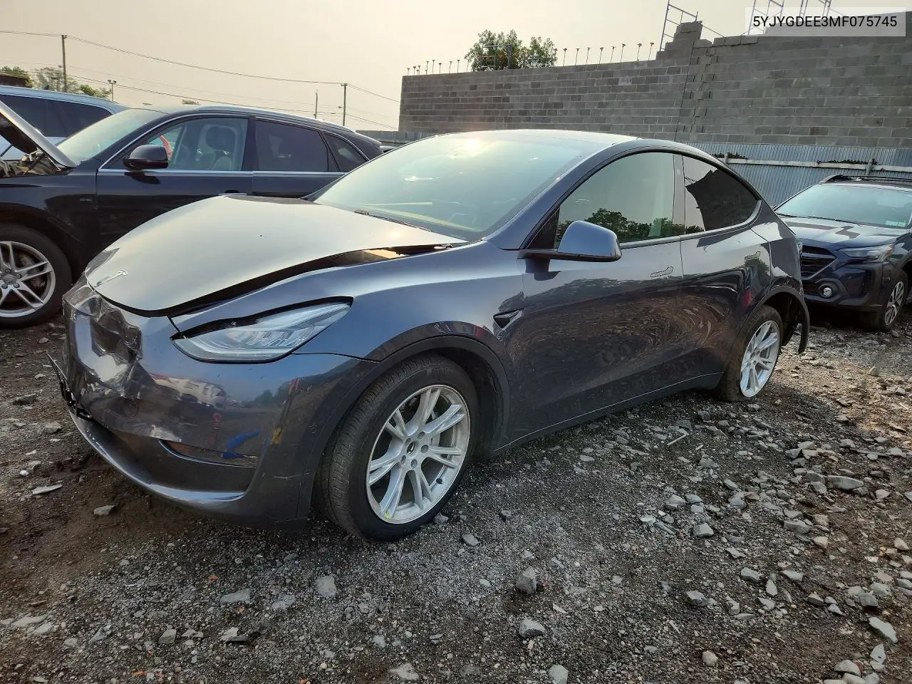 Tesla Model Y 2021