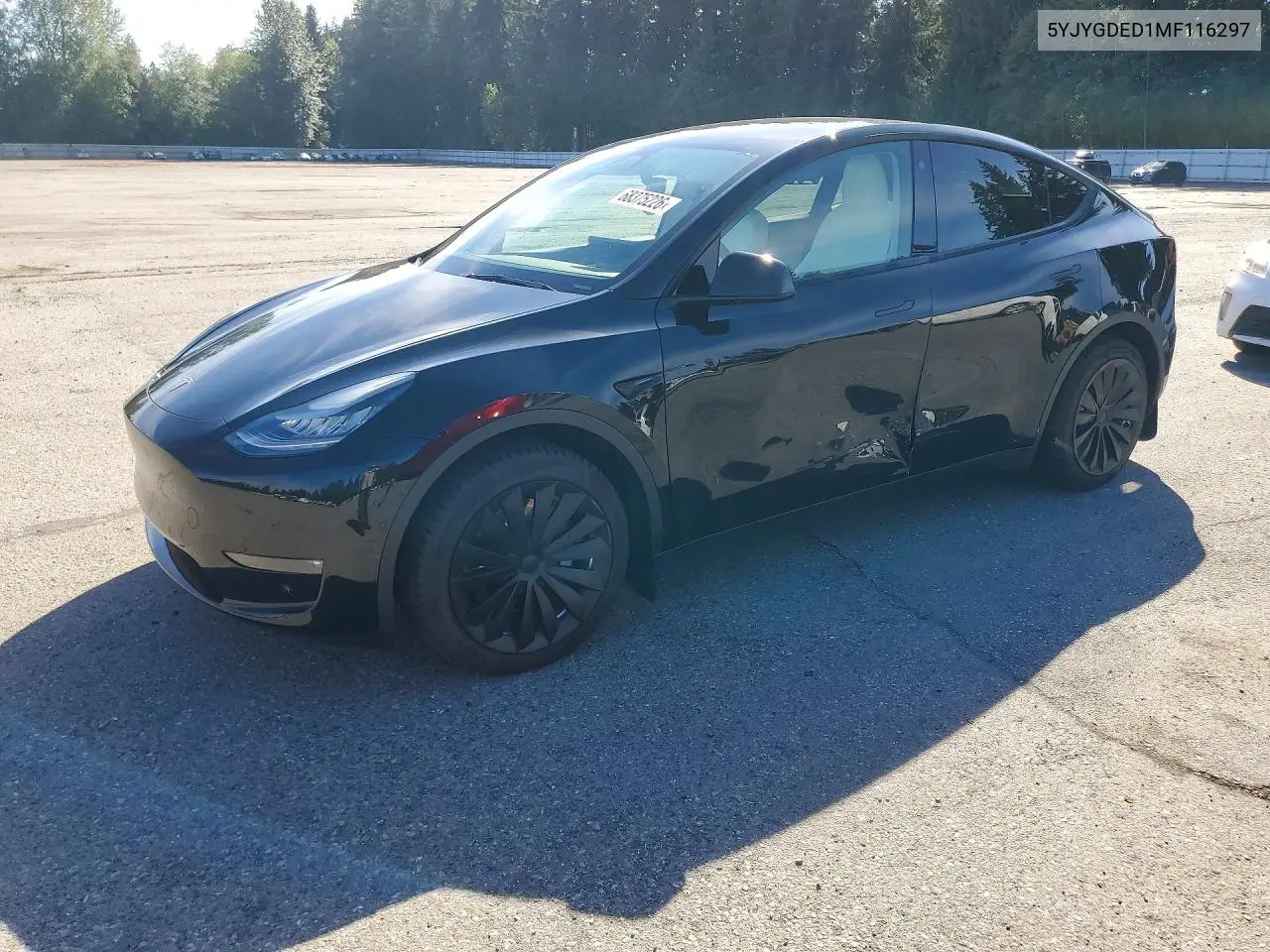 Tesla Model Y 2021
