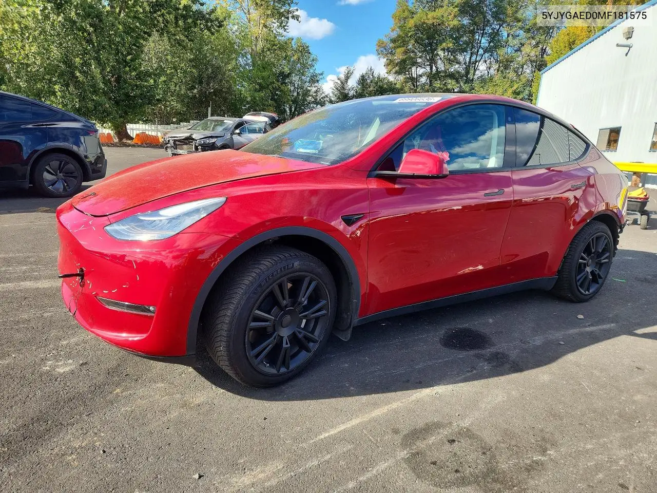 Tesla Model Y 2021