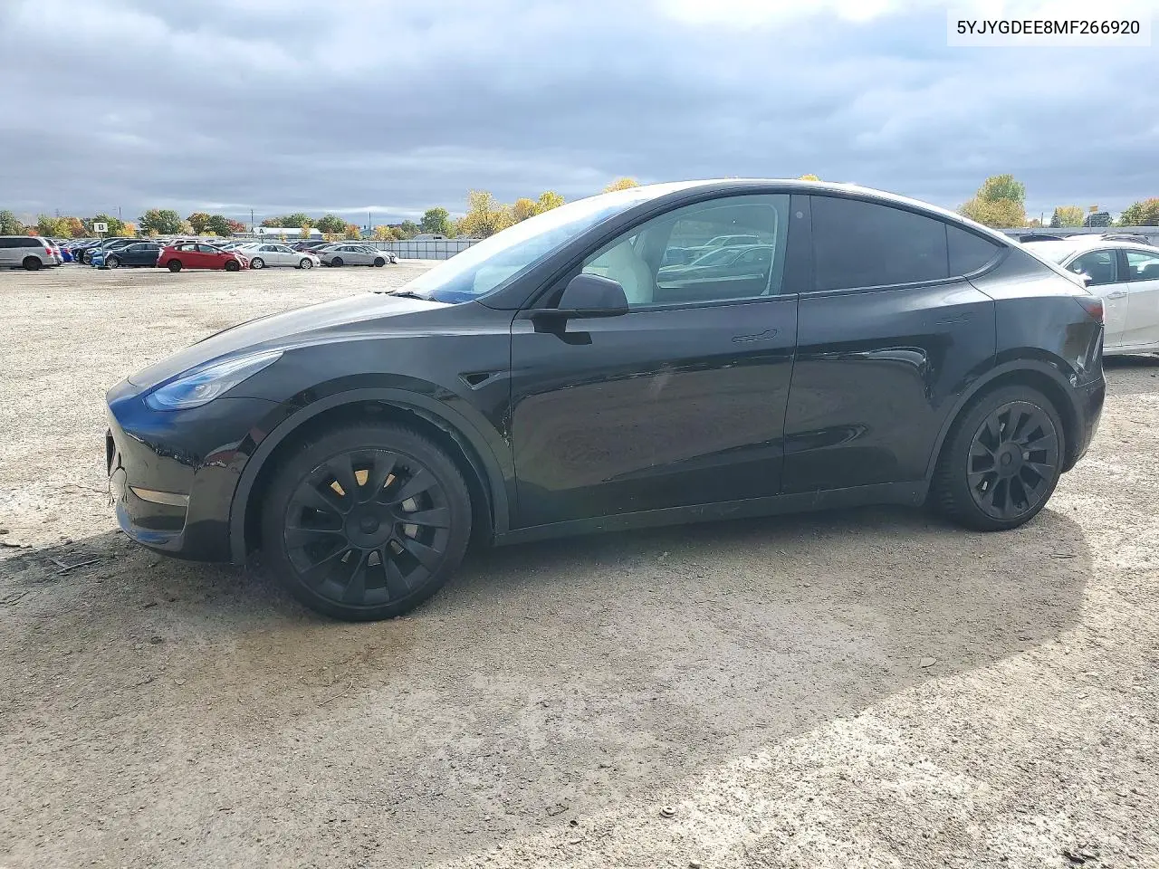 Tesla Model Y 2021