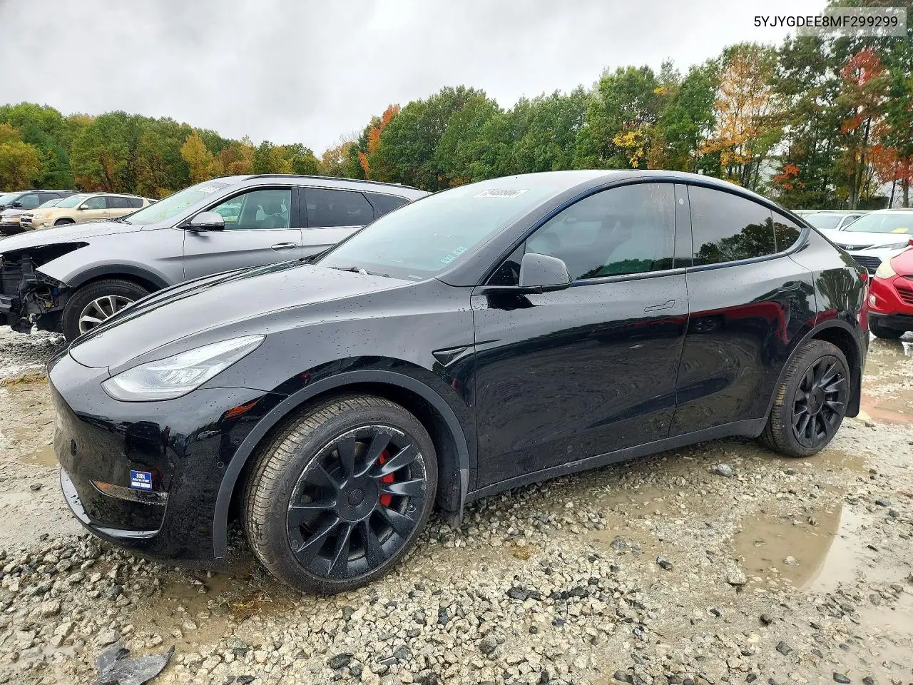 Tesla Model Y 2021