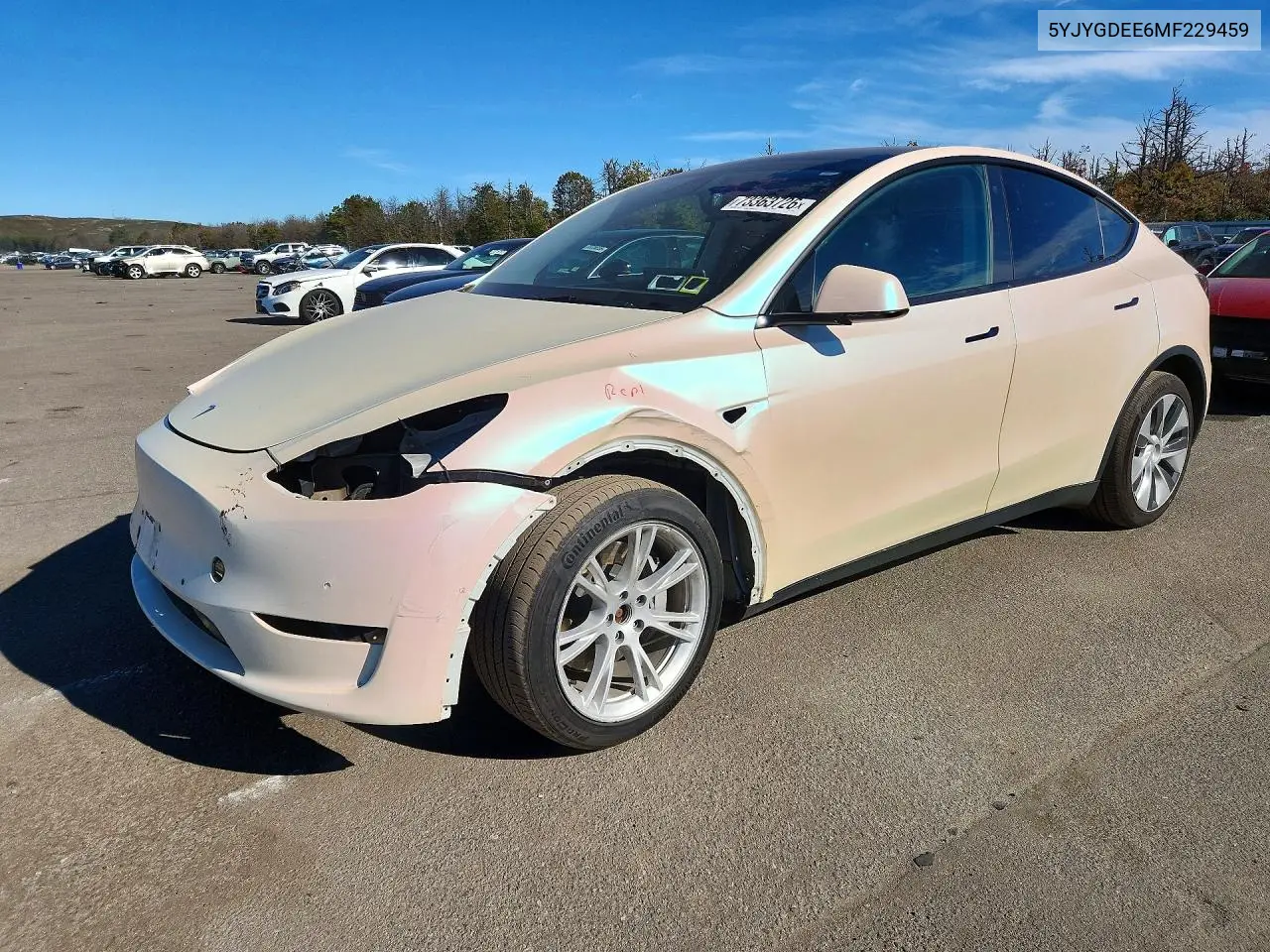 Tesla Model Y 2021