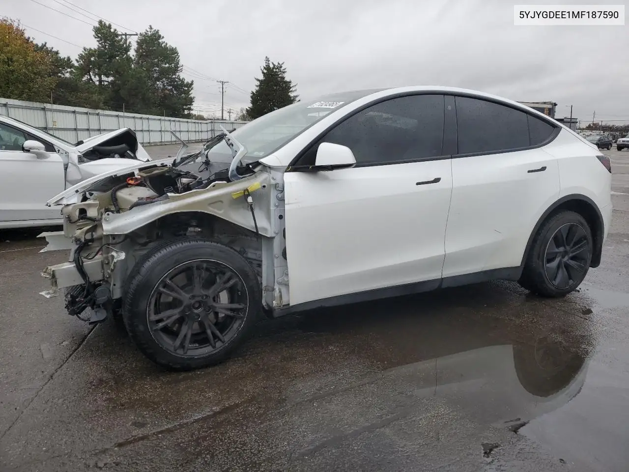 Tesla Model Y 2021
