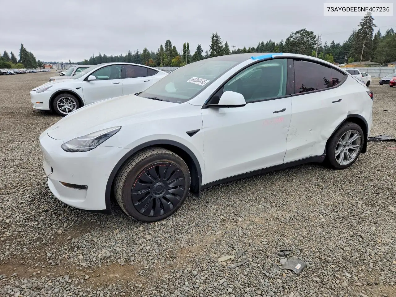 Tesla Model Y 2022