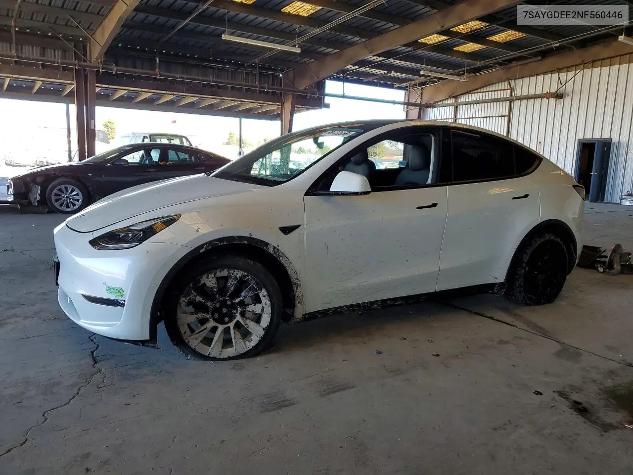 Tesla Model Y 2022