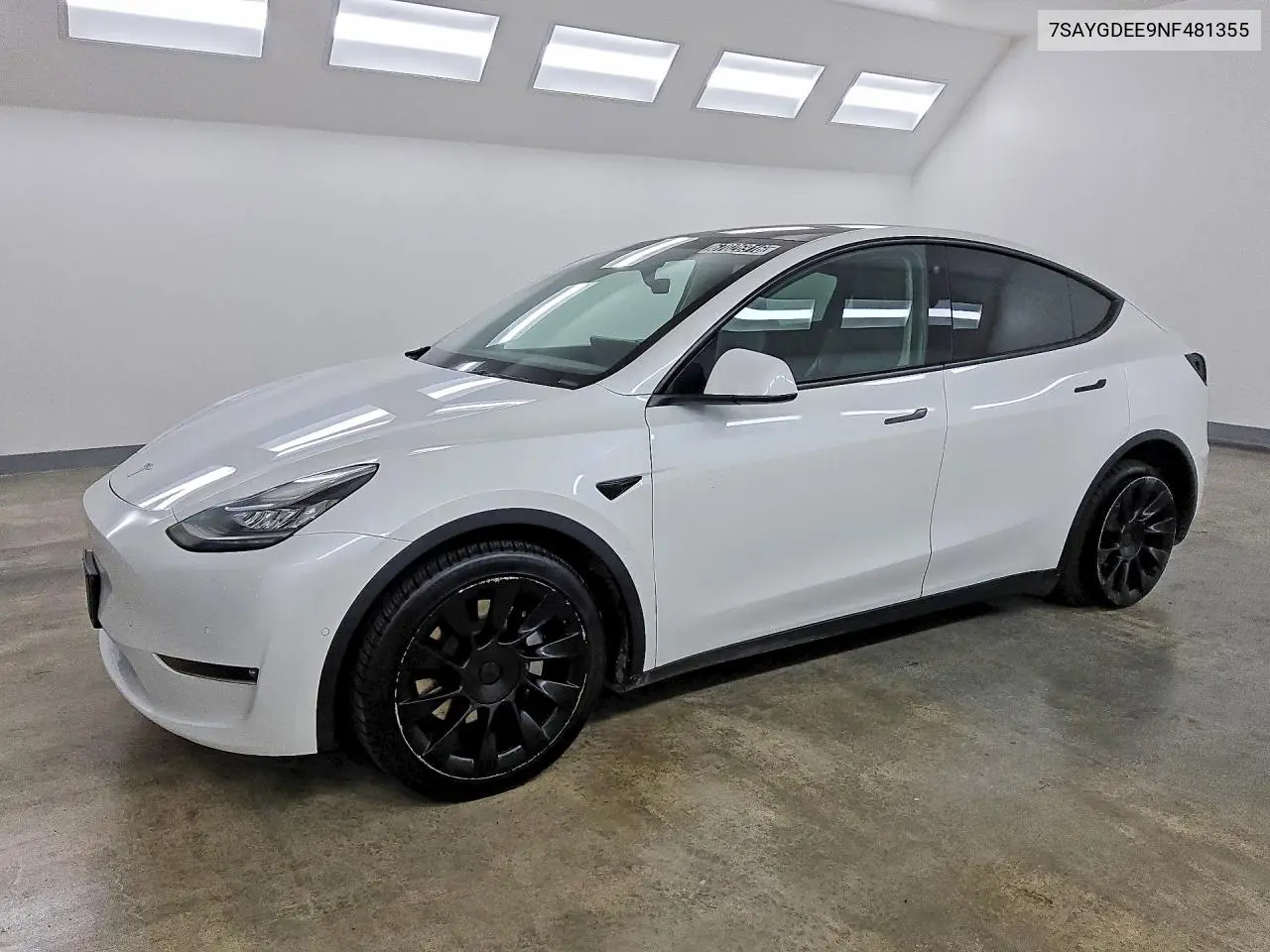 Tesla Model Y 2022