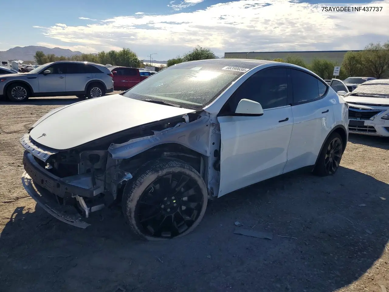 Tesla Model Y 2022