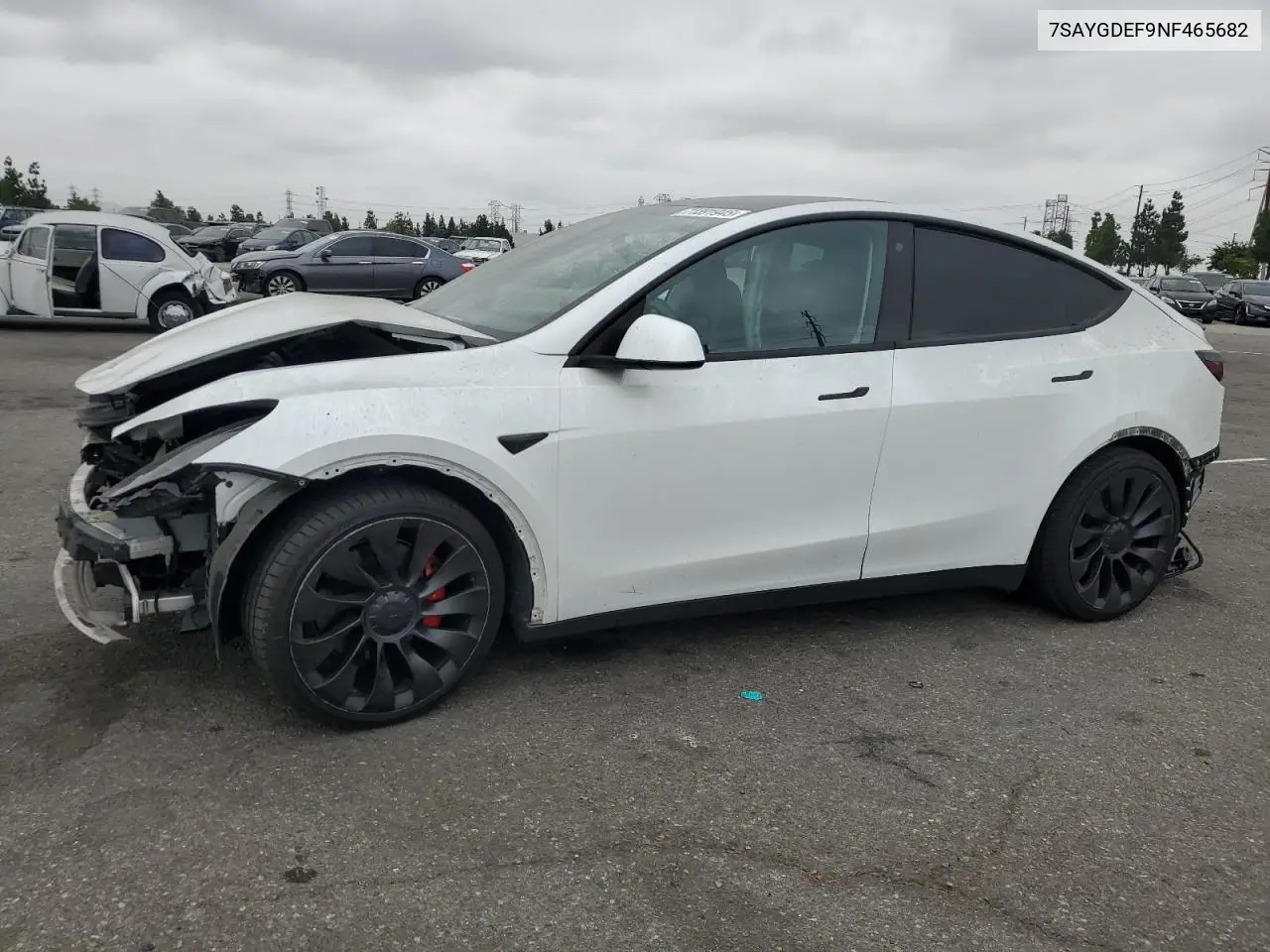 Tesla Model Y 2022