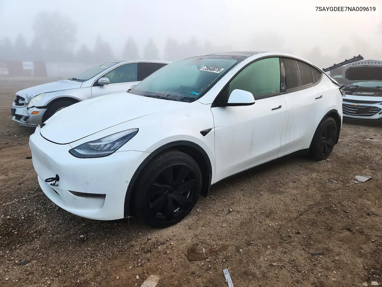 Tesla Model Y 2022