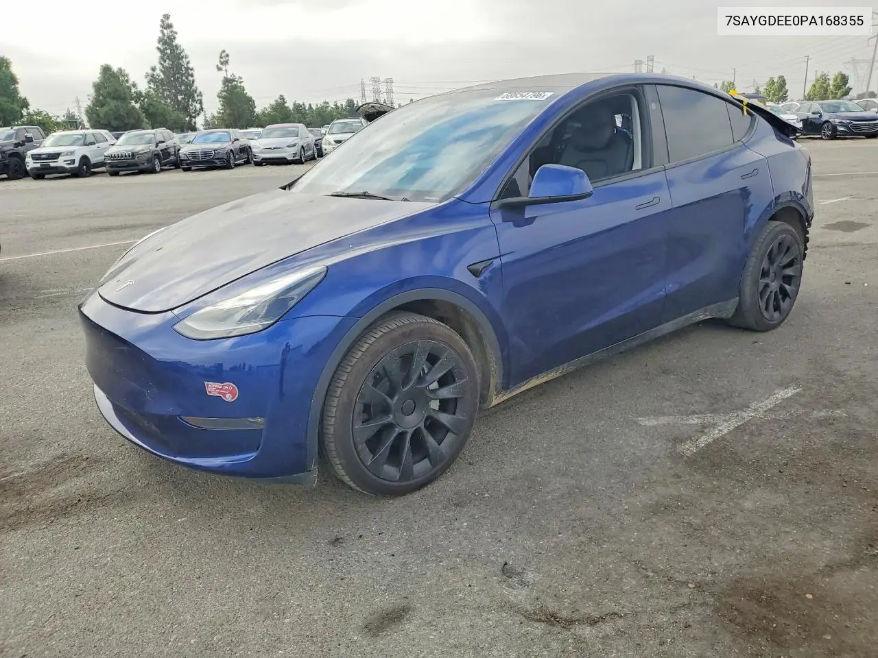 Tesla Model Y 2023