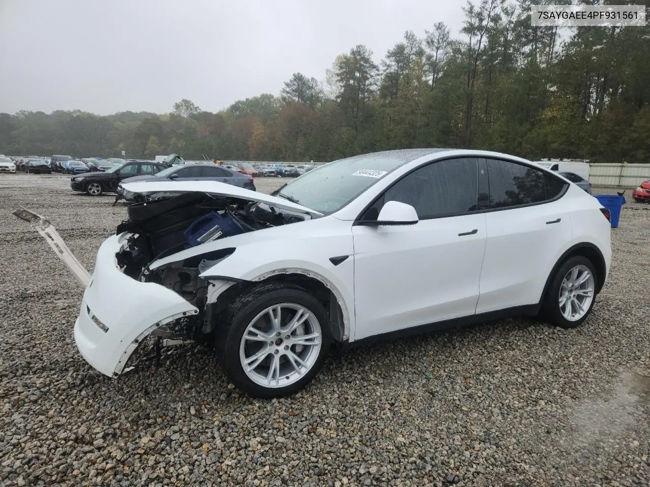 Tesla Model Y 2023