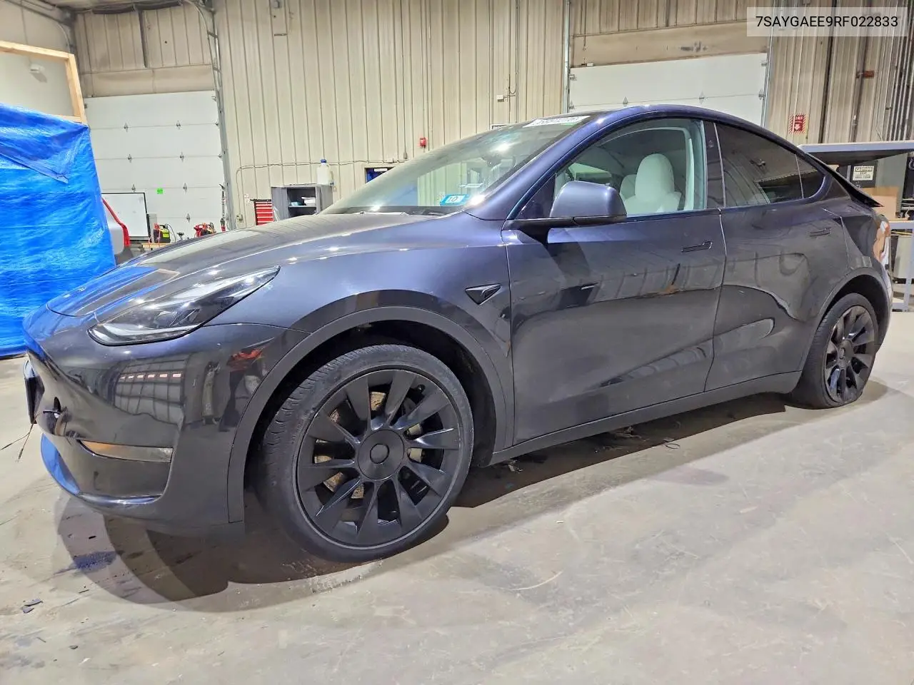 Tesla Model Y 2024
