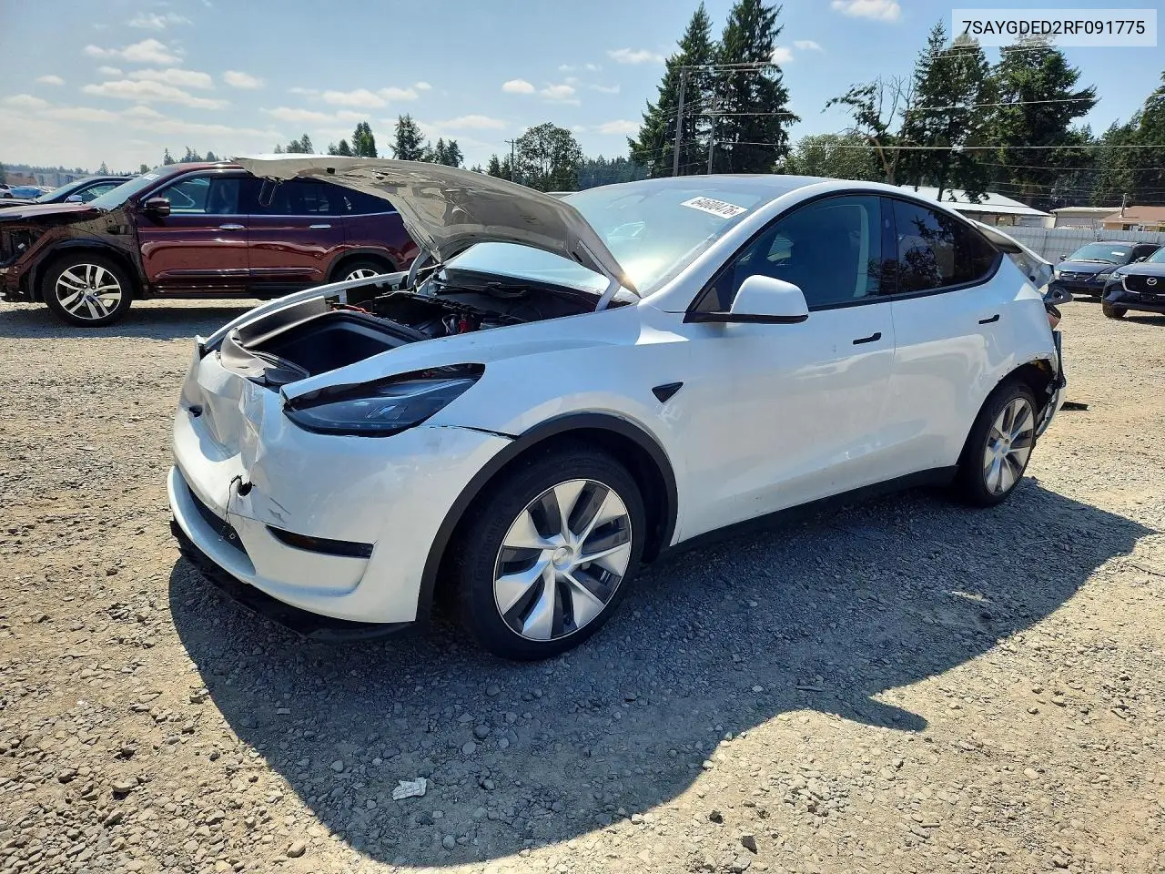 Tesla Model Y 2024