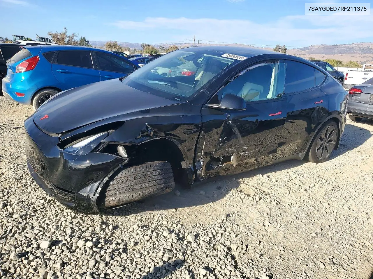 Tesla Model Y 2024