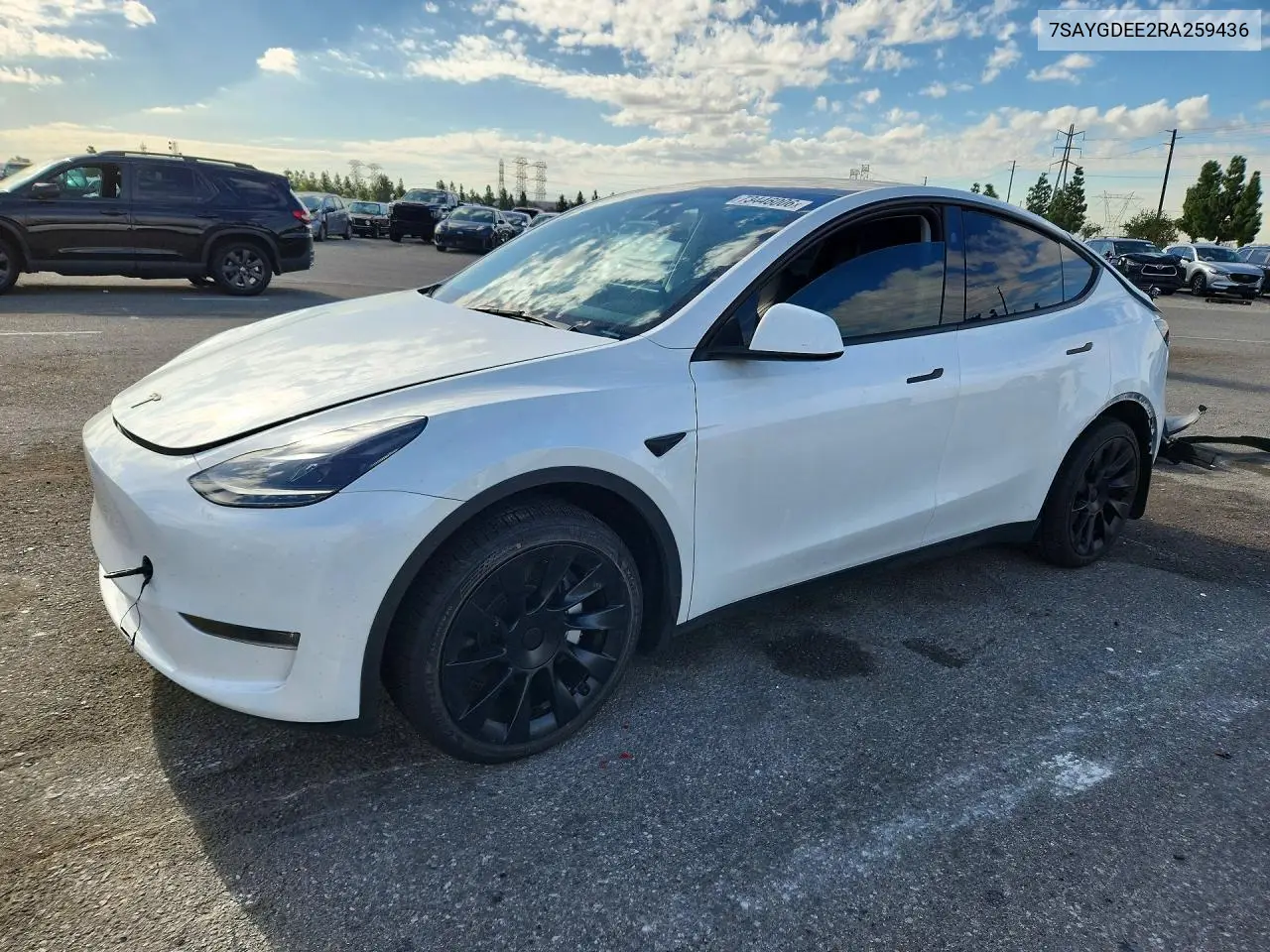 Tesla Model Y 2024