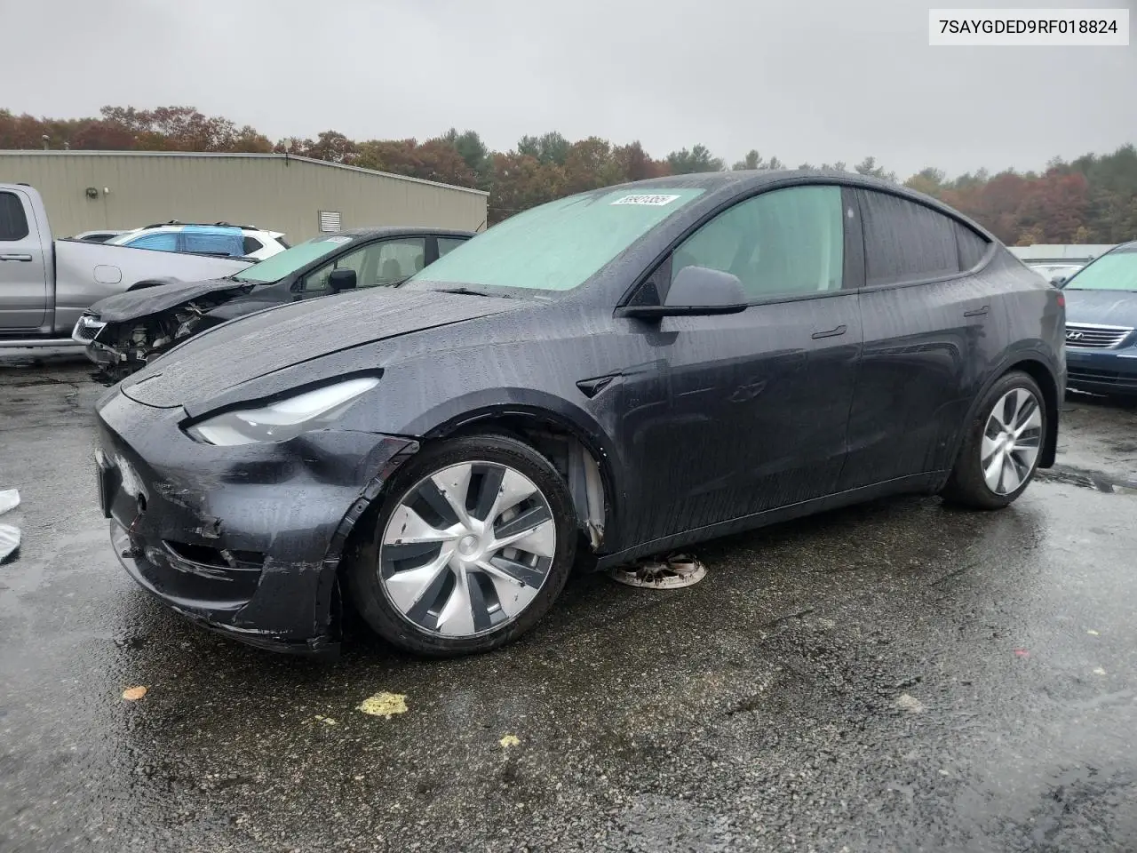 Tesla Model Y 2024