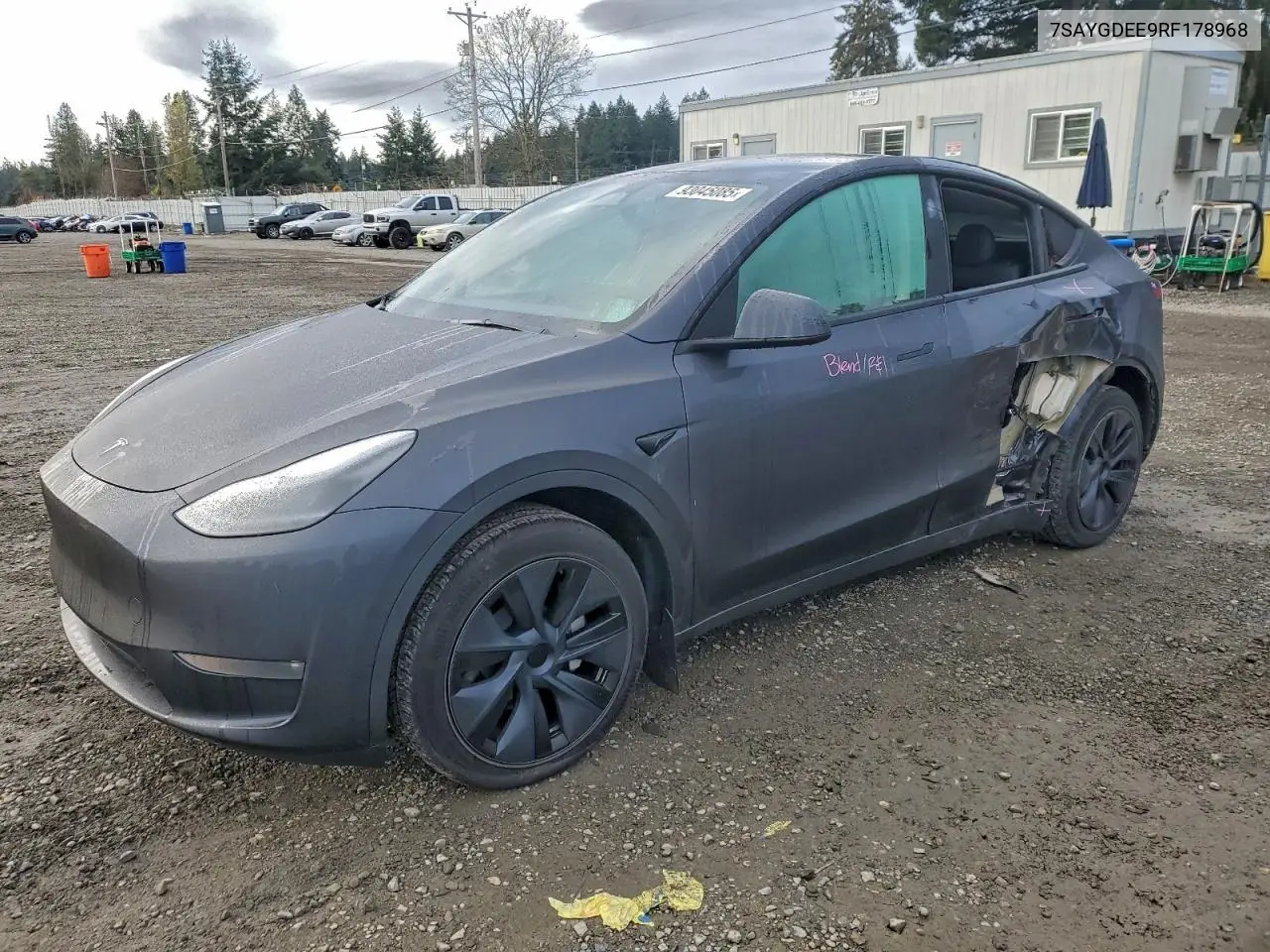 Tesla Model Y 2024