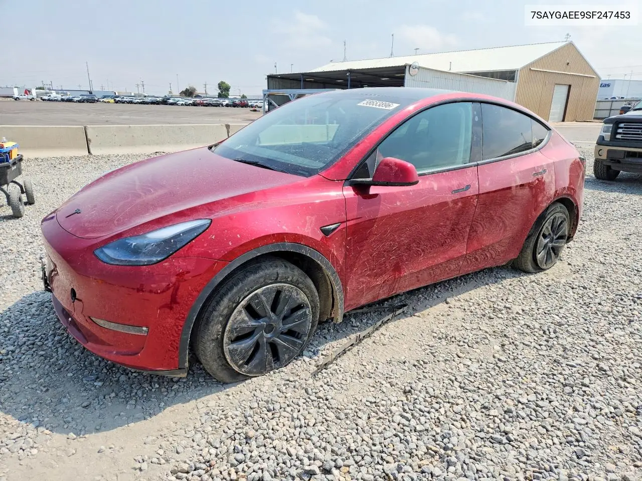 Tesla Model Y 2025
