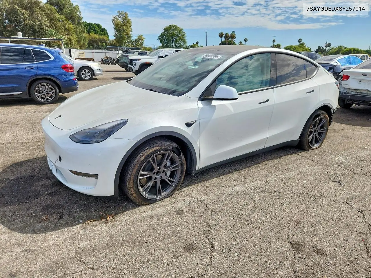 Tesla Model Y 2025