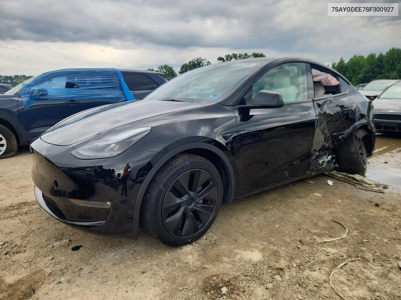 Tesla Model Y 2025