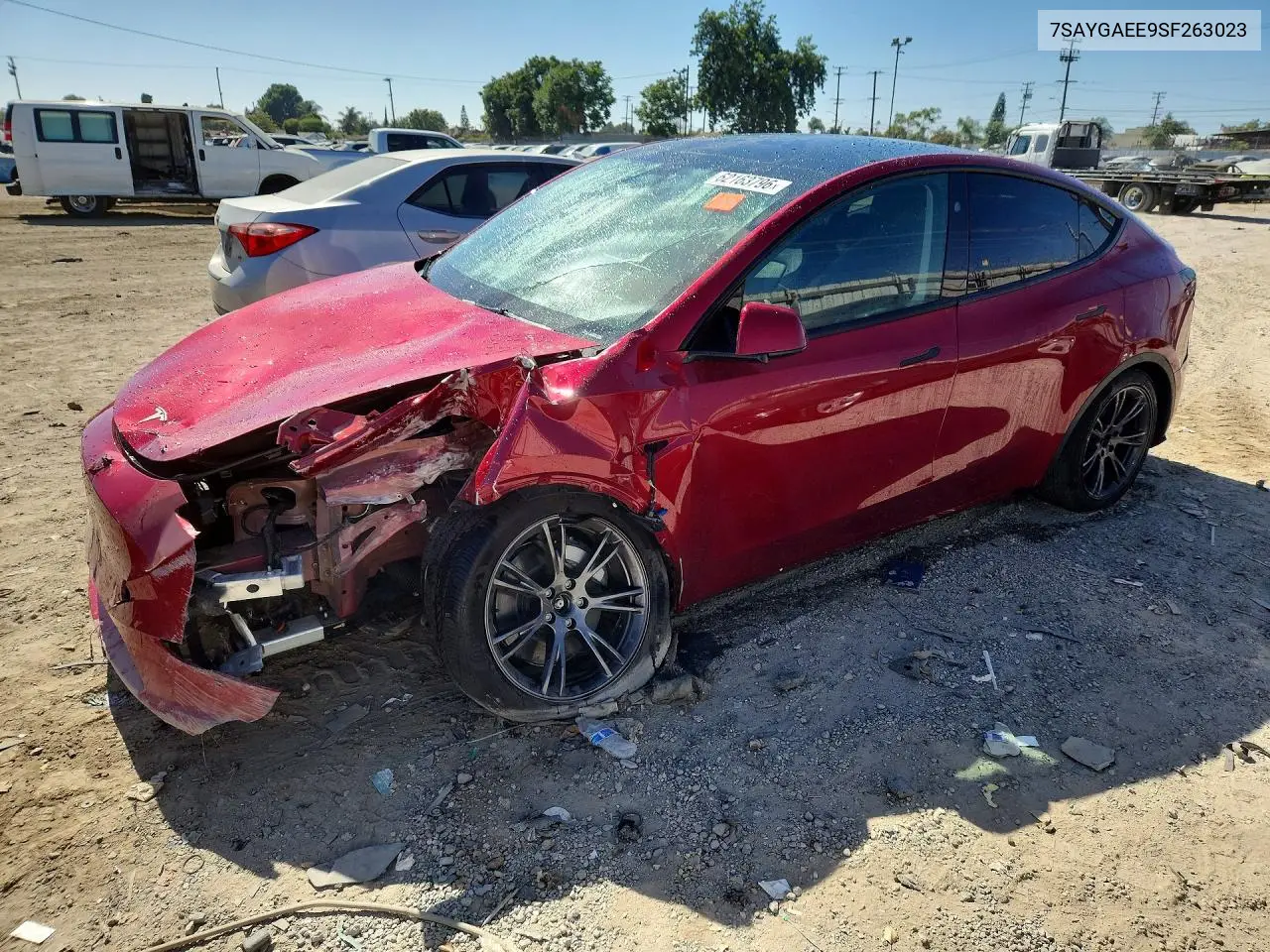 Tesla Model Y 2025