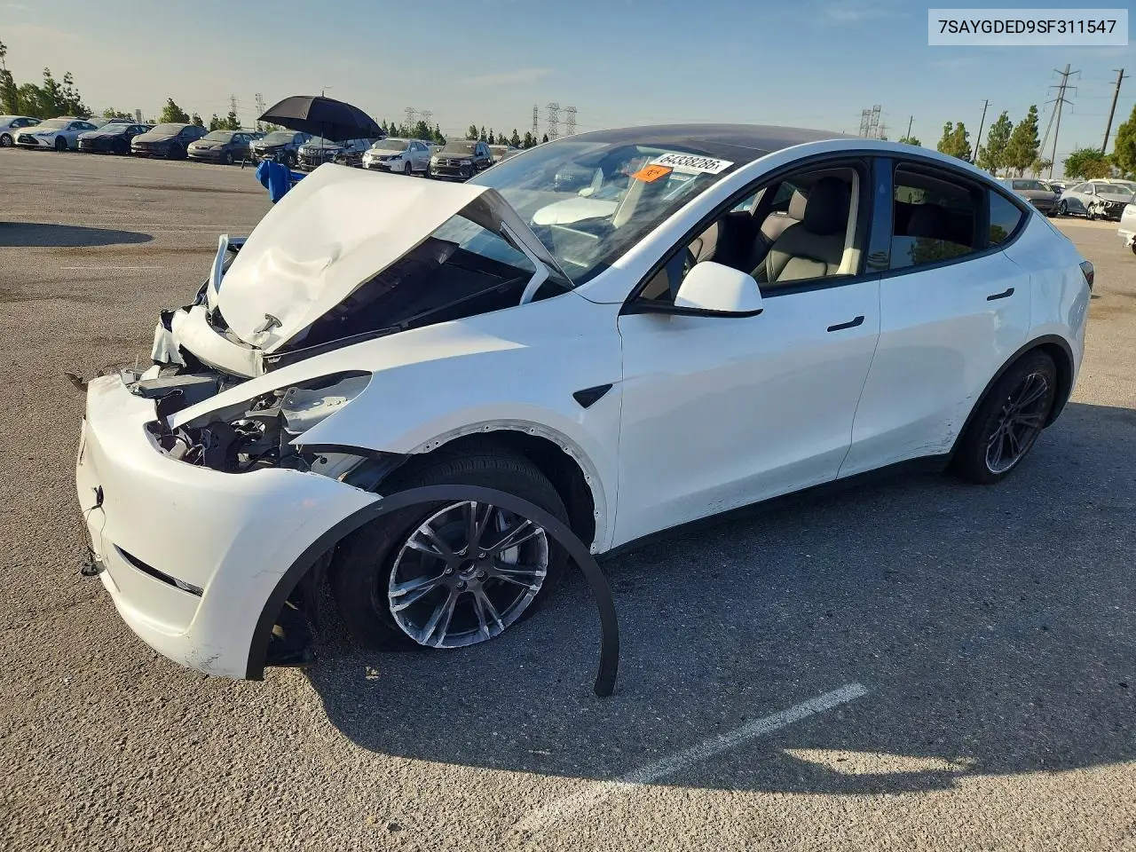 Tesla Model Y 2025