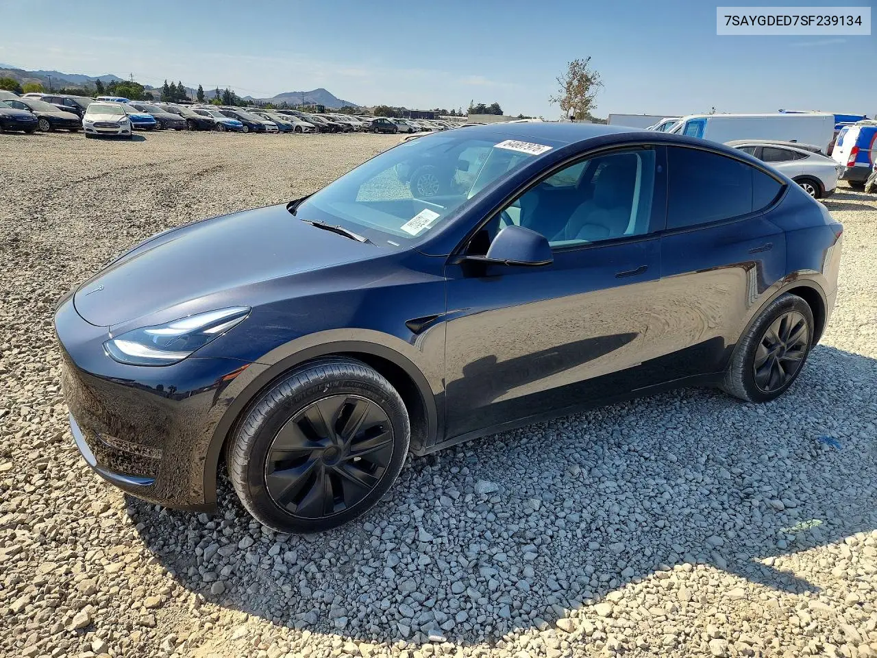 Tesla Model Y 2025