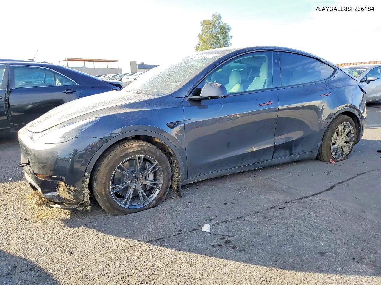Tesla Model Y 2025