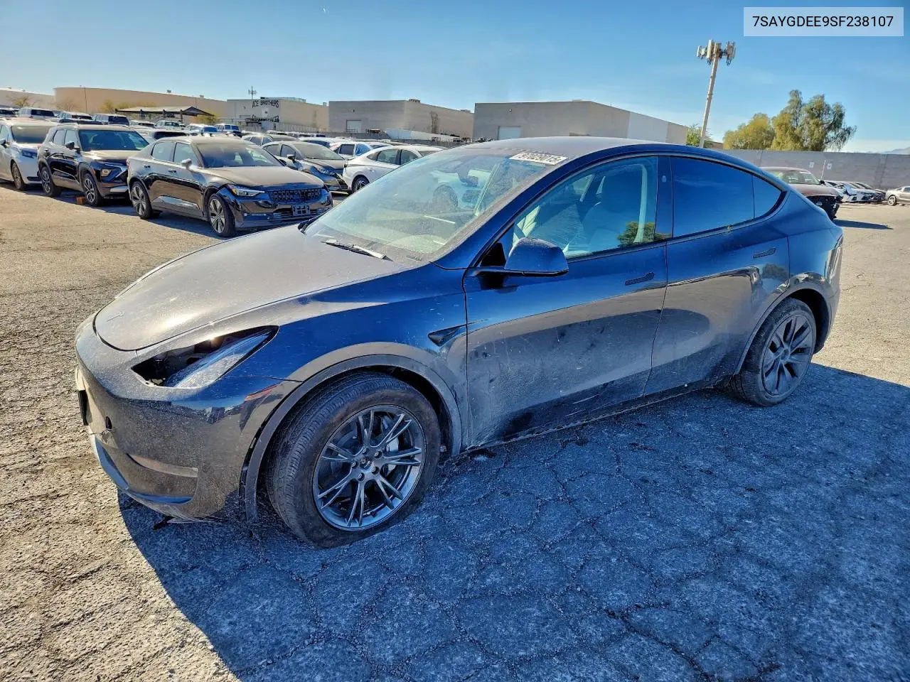 Tesla Model Y 2025