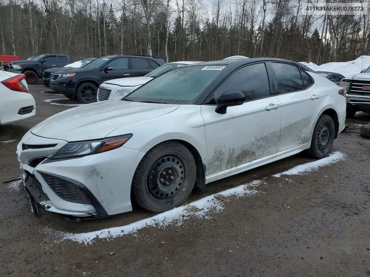 Toyota Camry Hybrid Xse 2024