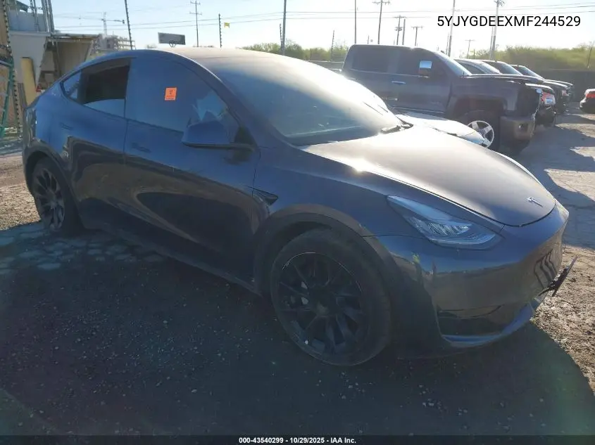 Tesla Model Y 2021