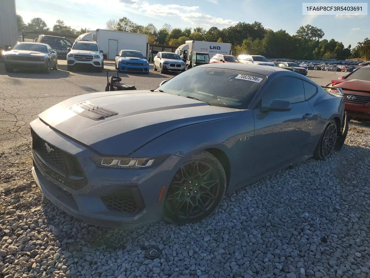 Ford Mustang Gt 2024