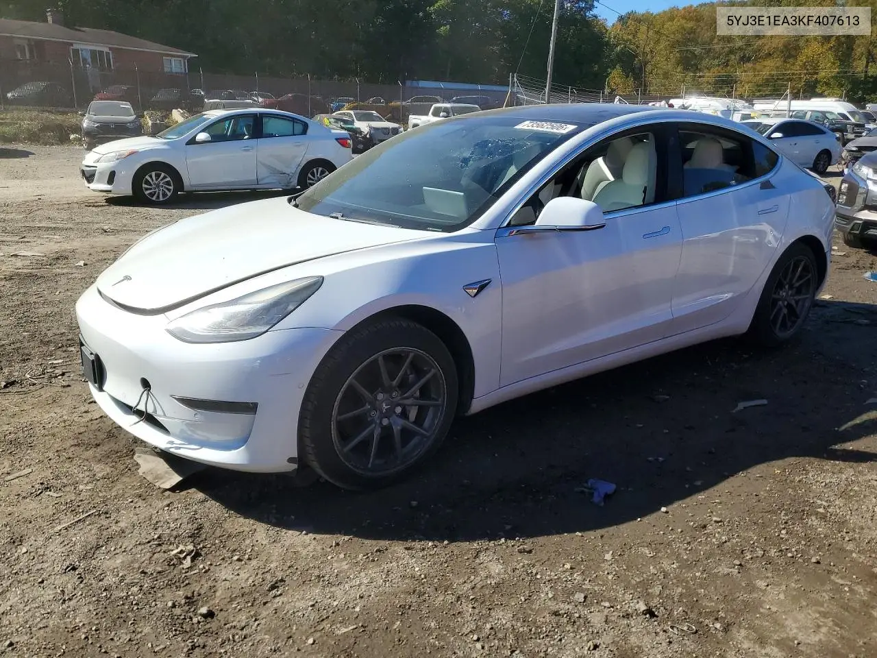 Tesla Model 3 2019