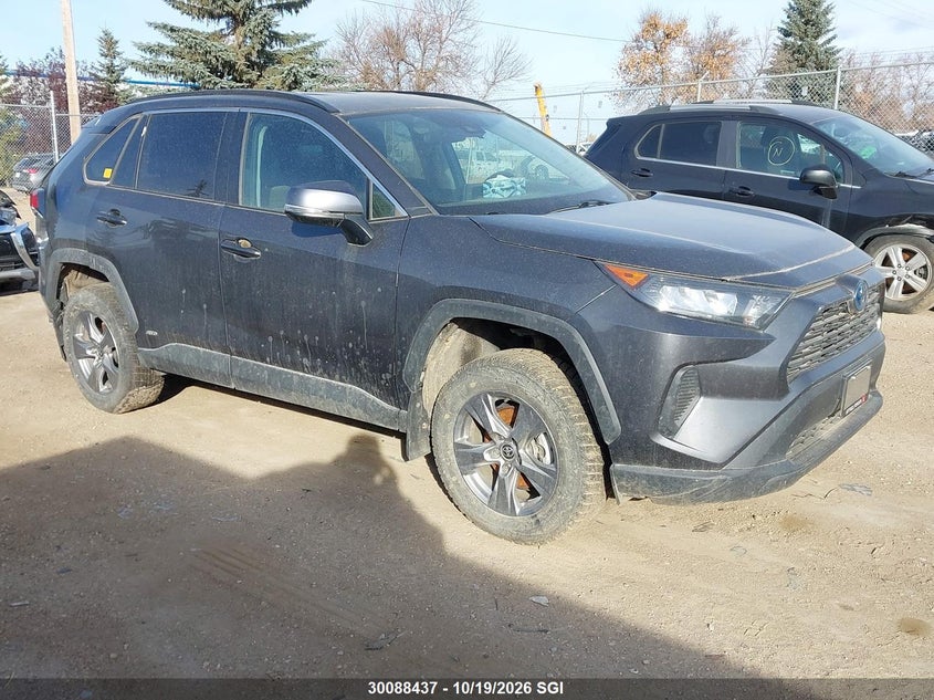 Toyota Rav4 Le 2024